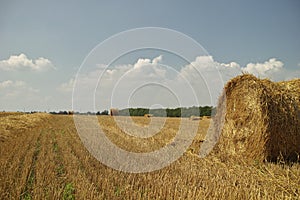 Bale of hay.