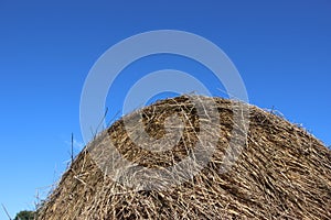 Bale of hay. agriculture farm and farming symbol of harvest time concept