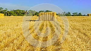 Bale of hay. agriculture farm and farming symbol of harvest time with dried grass straw as a bundled tied haystack. Hey