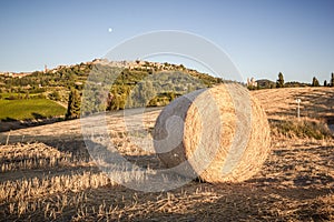 Bale of hay, in the background Montepulciano