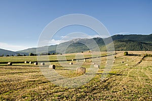 Bale of hay on field
