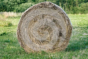 A bale of hay in the foreground in the countryside, a cow food, a farm, a beautiful natural background