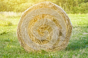 A bale of hay in the foreground in the countryside, a cow food, a farm, a beautiful natural background