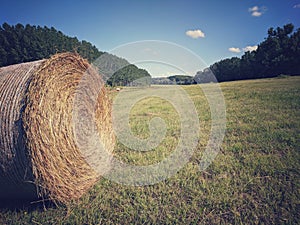 Bale of hay in the grassy field among woods in flat land area under clear blue sky with white clouds