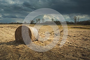 A bale of hay lying on a dry meadow and a cloudy sky