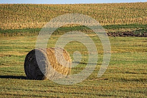 A bale of hay sitting in the field at sunset in the great plains