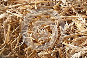 A bale of hay or straw