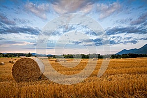 Bale of hay on wheat field against dramatic morning sky