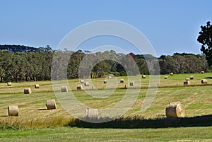 Bale of hays on meadow field