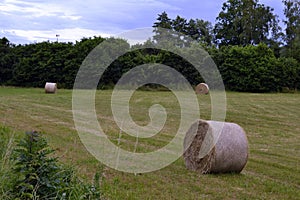 Bale of hays on meadow field