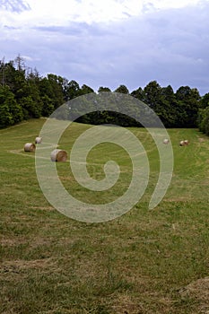 Bale of hays on meadow field on hillside