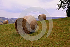 Bale of hays on meadow field on hillside