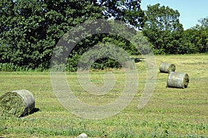 Bale of hays on meadow field near forest