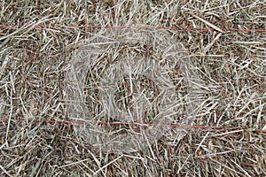 Bale of Meadow Hay.