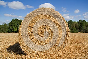 Bale of straw