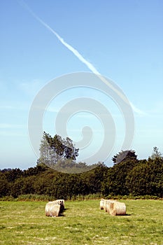 Bale of straw