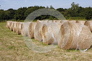 Bale of straw