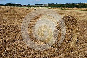 Bale of straw in a farm field