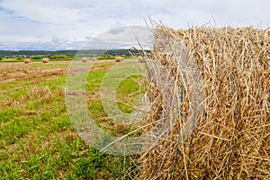 Bale of straw on harvested agricultural field.