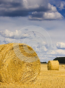 Bale of straw in the meadow