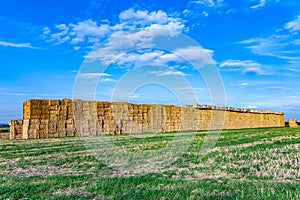 bale of straw in the meadow