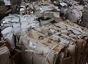 Baled cardboard for recycling