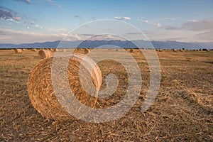 Baled Hay Rolls at Sunset