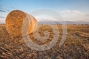 Baled Hay Rolls at Sunset