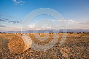 Baled Hay Rolls at Sunset