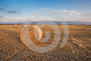 Baled Hay Rolls at Sunset