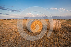 Baled Hay Rolls at Sunset