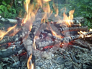 Balefire in the forest