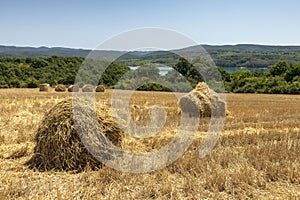 Bales in a field and a view of the Ticha Dam