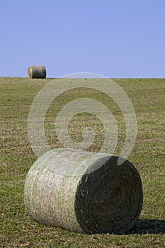 Bales of Hay