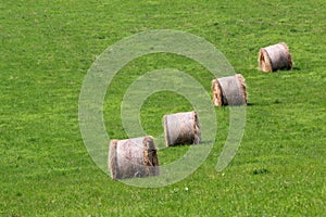 Bales of hay