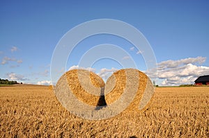 Bales of hay