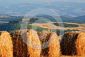 Bales of hay