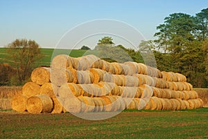 Bales of Hay