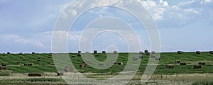 Bales of Hay on a farm field in Alberta After Harvest