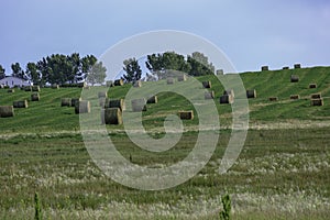 Bales of Hay on a farm field in Alberta After Harvest