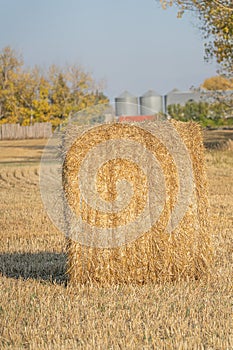 bales of hay in farm field earlyin the morning