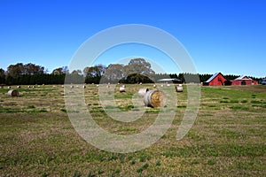 Bales of Hay at farm rural Georgia, USA