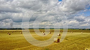 Bales of hay in the field. A stack of hay. Straw in the meadow. Wheat harvest in summer