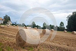 Bales of hay in a field in Switzerland