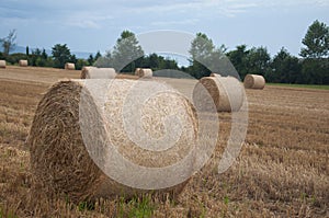 Bales of hay in a field in Switzerland