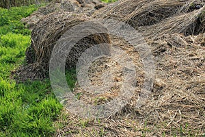 Bales of hay for show in the park in spring.