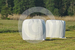 Bales of hay lying on the meadow during haymaking. River Valley, meadows