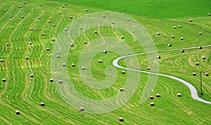 Bales of hay on meadow