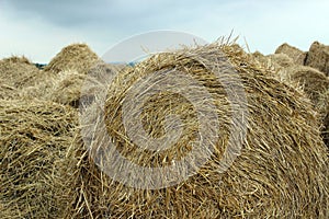 Bales of hay before the rain starts