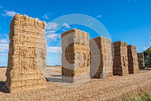 Hay bales stacked high in a line